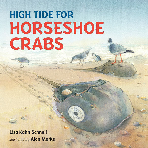 High Tide for Horseshoe Crabs