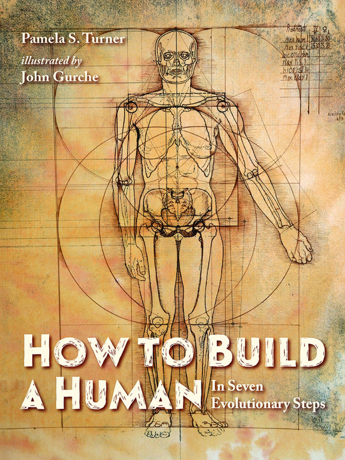 How to Build a Human