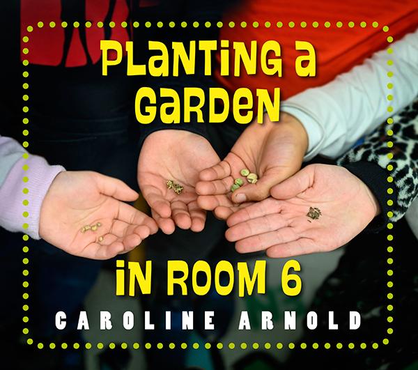 planting-a-garden-in-room-6